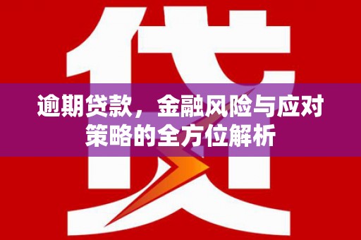 腾冲逾期贷款，金融风险与应对策略的全方位解析