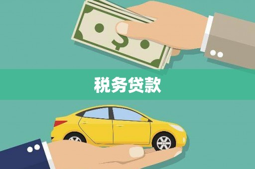 腾冲税务贷款