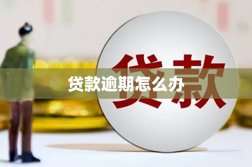 腾冲贷款逾期怎么办