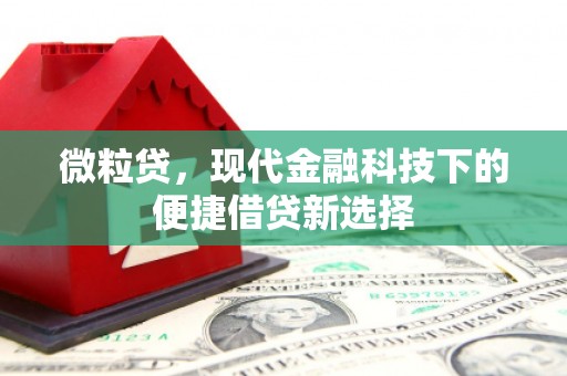 腾冲微粒贷，现代金融科技下的便捷借贷新选择