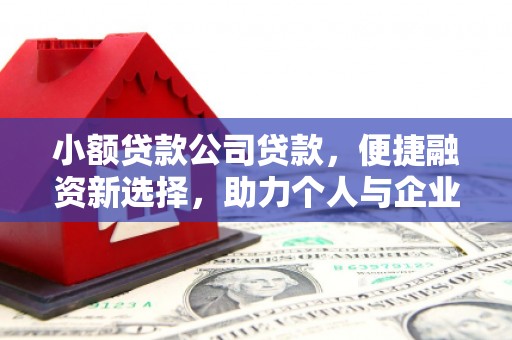 腾冲小额贷款公司贷款，便捷融资新选择，助力个人与企业成长