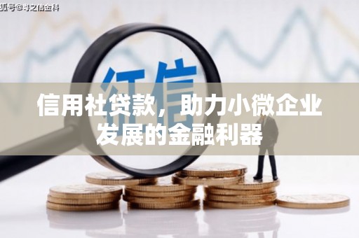 腾冲信用社贷款，助力小微企业发展的金融利器