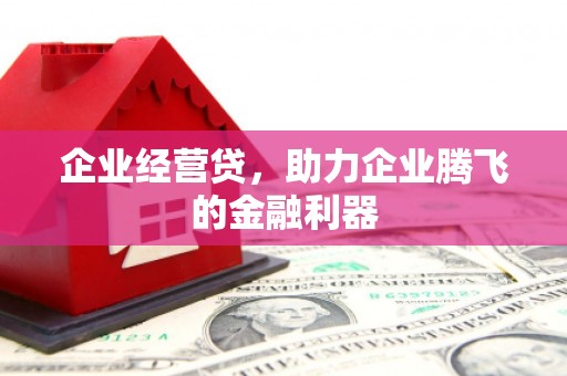 腾冲企业经营贷，助力企业腾飞的金融利器