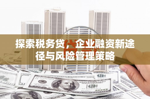 腾冲探索税务贷，企业融资新途径与风险管理策略