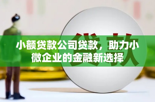 腾冲小额贷款公司贷款，助力小微企业的金融新选择