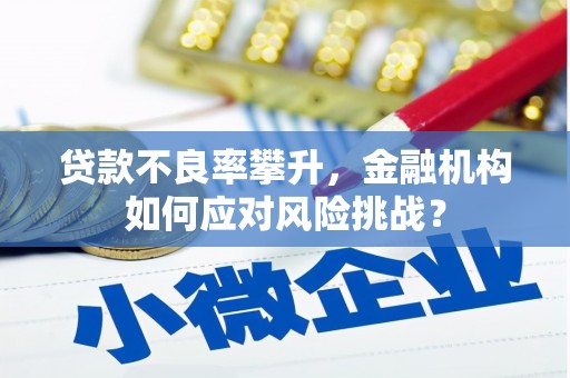 腾冲贷款不良率攀升，金融机构如何应对风险挑战？