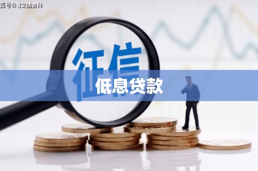腾冲低息贷款