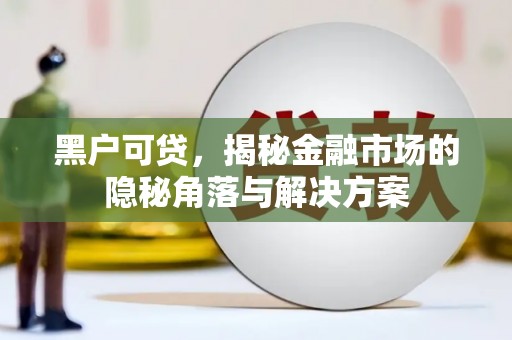 腾冲黑户可贷，揭秘金融市场的隐秘角落与解决方案