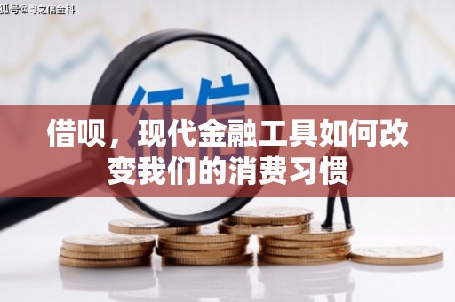 腾冲借呗，现代金融工具如何改变我们的消费习惯