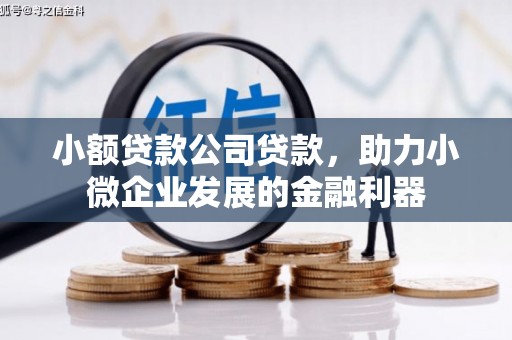 腾冲小额贷款公司贷款，助力小微企业发展的金融利器