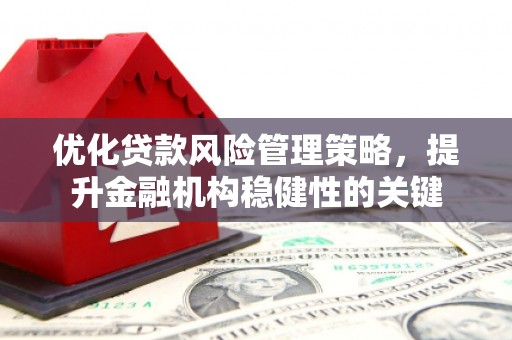 腾冲优化贷款风险管理策略，提升金融机构稳健性的关键