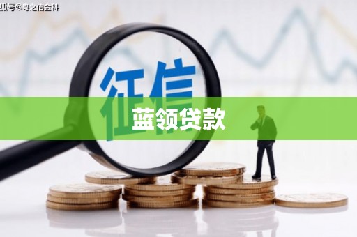 腾冲蓝领贷款