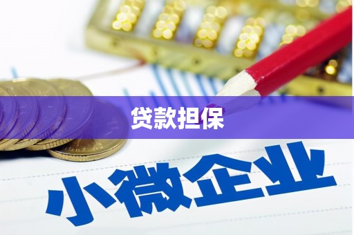 腾冲贷款担保