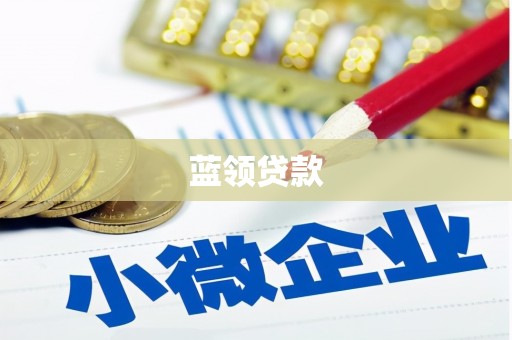 腾冲蓝领贷款