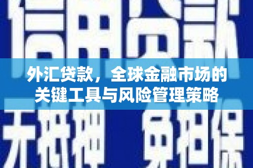 腾冲外汇贷款，全球金融市场的关键工具与风险管理策略