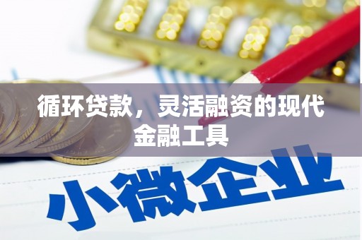 腾冲循环贷款，灵活融资的现代金融工具