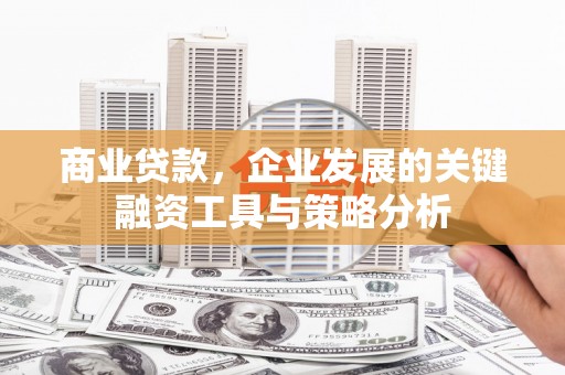 腾冲商业贷款，企业发展的关键融资工具与策略分析