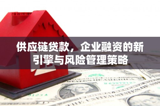腾冲供应链贷款，企业融资的新引擎与风险管理策略