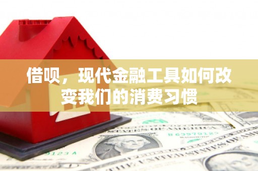 腾冲借呗，现代金融工具如何改变我们的消费习惯