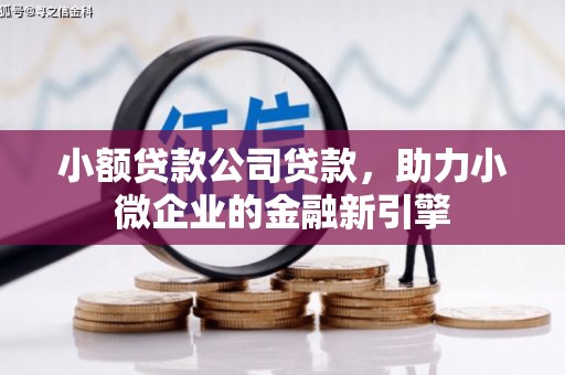腾冲小额贷款公司贷款，助力小微企业的金融新引擎