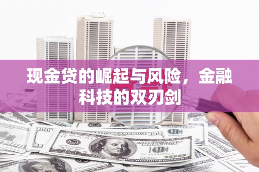 腾冲现金贷的崛起与风险，金融科技的双刃剑