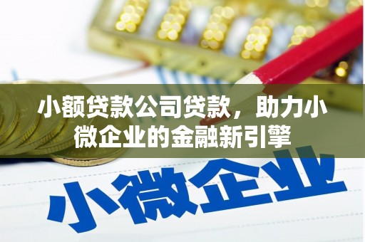 腾冲小额贷款公司贷款，助力小微企业的金融新引擎