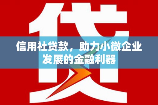 腾冲信用社贷款，助力小微企业发展的金融利器