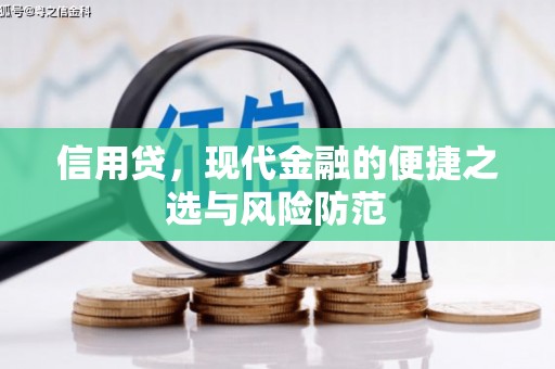 腾冲信用贷，现代金融的便捷之选与风险防范