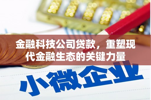 腾冲金融科技公司贷款，重塑现代金融生态的关键力量