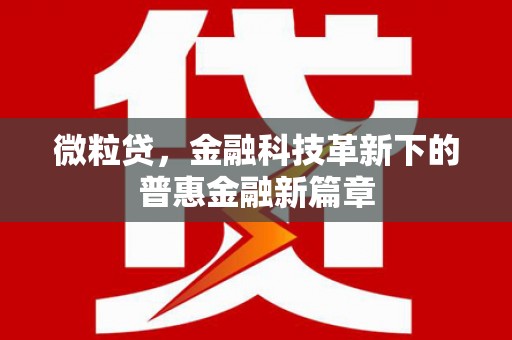 腾冲微粒贷，金融科技革新下的普惠金融新篇章