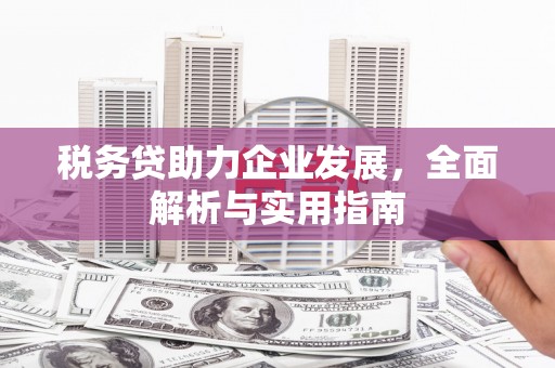 腾冲税务贷助力企业发展，全面解析与实用指南