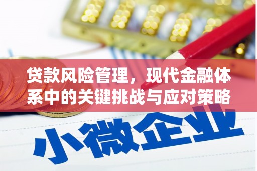 腾冲贷款风险管理，现代金融体系中的关键挑战与应对策略