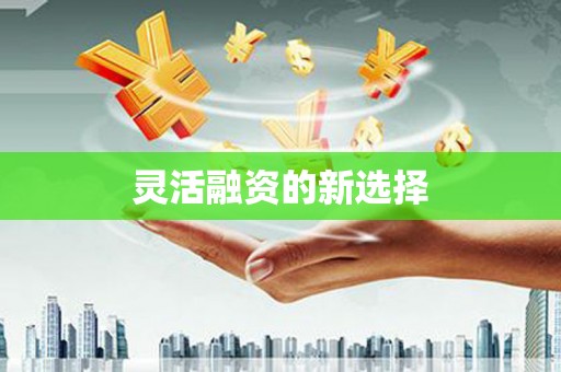 腾冲灵活融资的新选择
