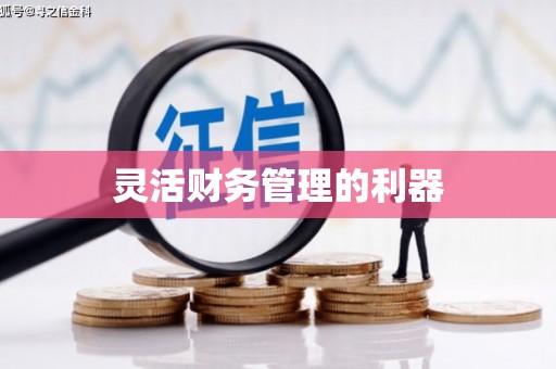 腾冲灵活财务管理的利器