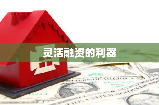 腾冲灵活融资的利器