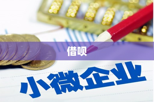 腾冲借呗