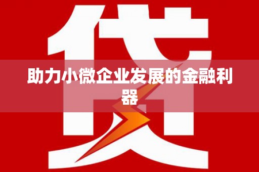 腾冲助力小微企业发展的金融利器