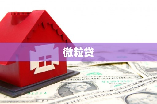 腾冲微粒贷