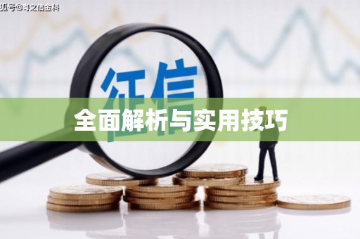 腾冲全面解析与实用技巧