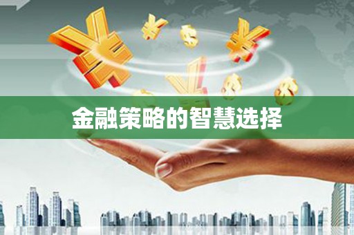 腾冲金融策略的智慧选择