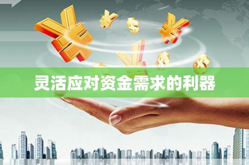 腾冲灵活应对资金需求的利器