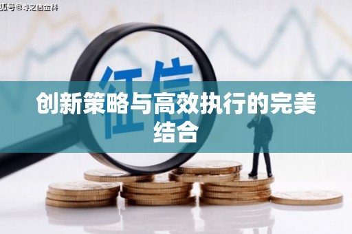 腾冲创新策略与高效执行的完美结合