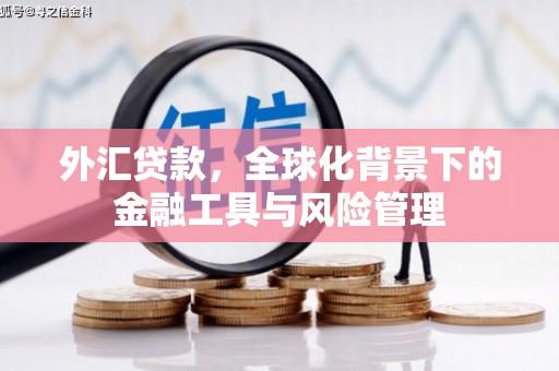 腾冲外汇贷款，全球化背景下的金融工具与风险管理